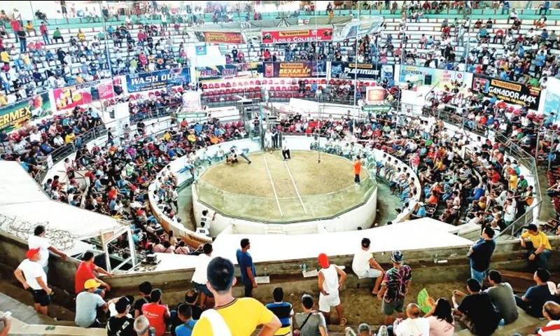 Championship Arena Cockpit Spectator Arena